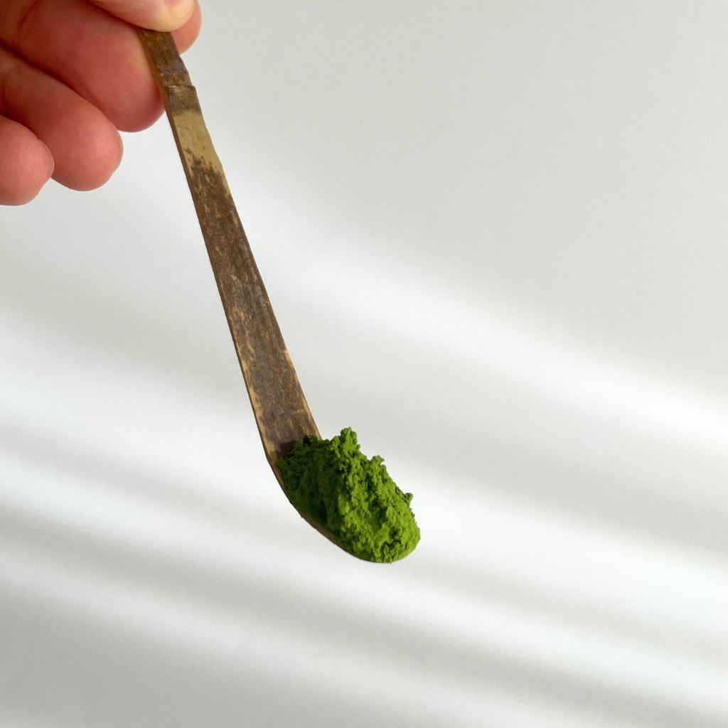 Chashaku - Bamboo Spoon